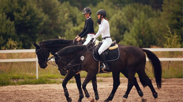 Equestrian riders